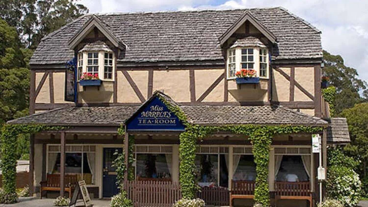 사사프라스 마을 방문