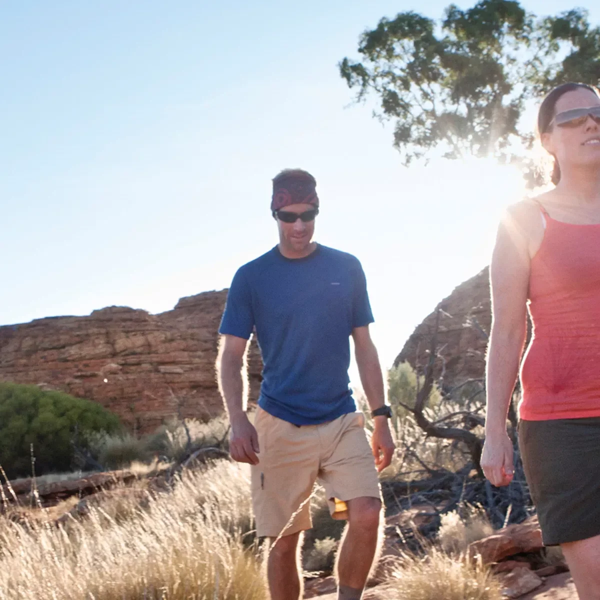 킹스 캐니언 & 아웃백 파노라마