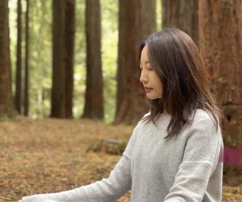 Redwood Forest (숲을 보는 시간)