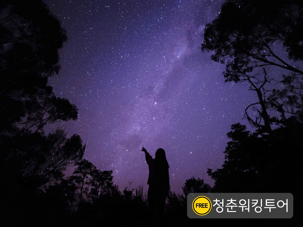 블루마운틴 선셋 별보기 투어