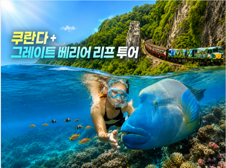 케언즈 올인원 묶음 패캐지 <<클래식>> 상품