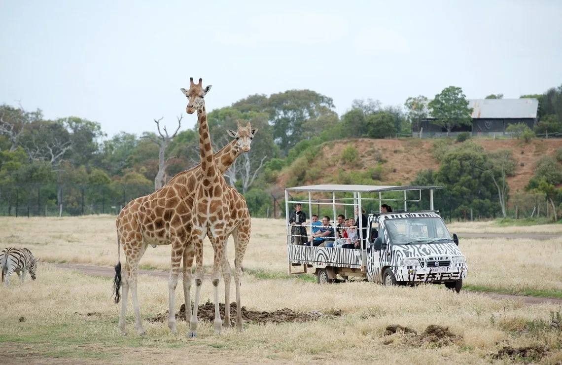 웨러비 동물원 (Werribee Open Range Zoo)
