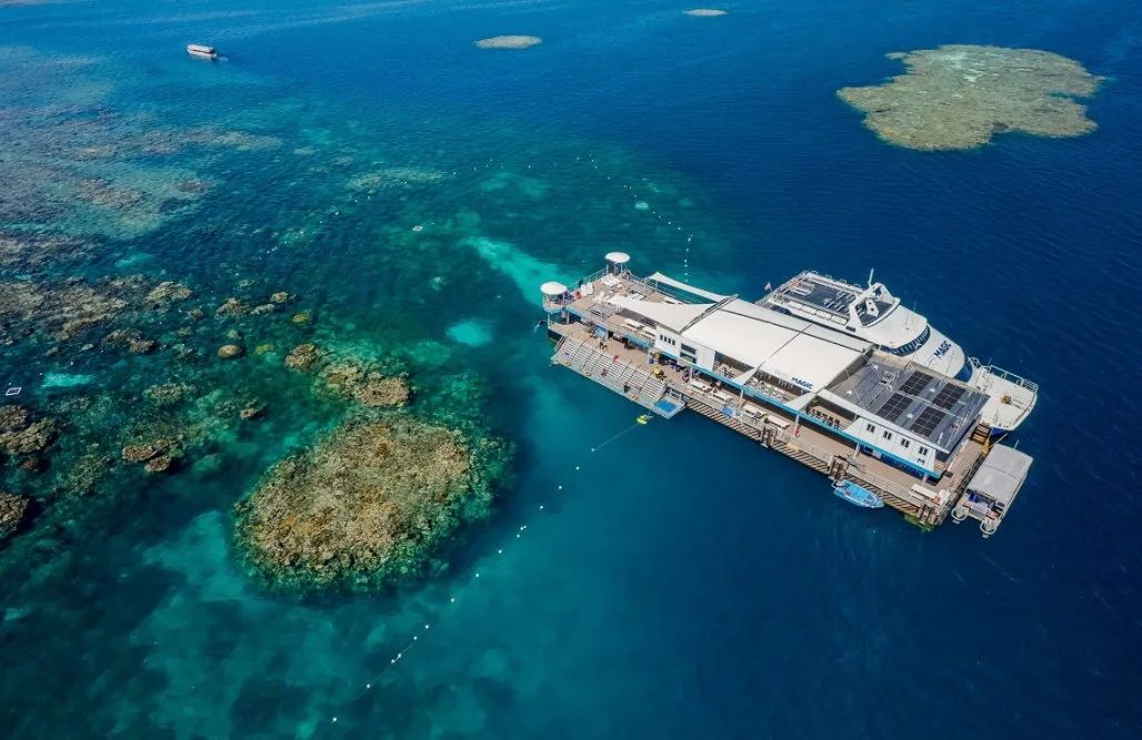Down Under Cruise & Dive